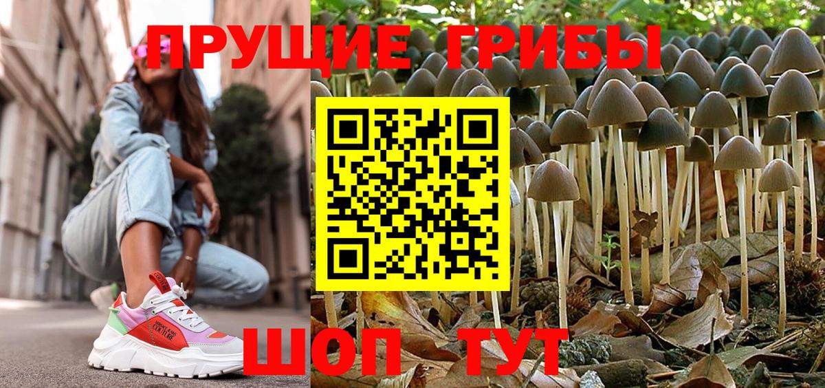 Зеленодольск  Галлюциногенные грибы Psilocybine cubensis  Вход с VPN 